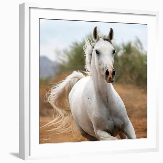 Damsel (color)-Barry Hart-Framed Art Print