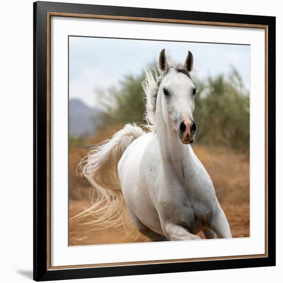 Damsel (color)-Barry Hart-Framed Art Print