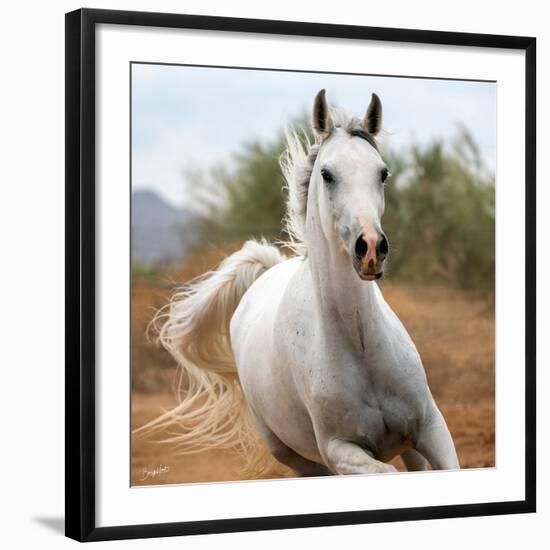 Damsel (color)-Barry Hart-Framed Art Print