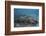 Damselfish Swim Above Corals in Komodo National Park, Indonesia-Stocktrek Images-Framed Photographic Print