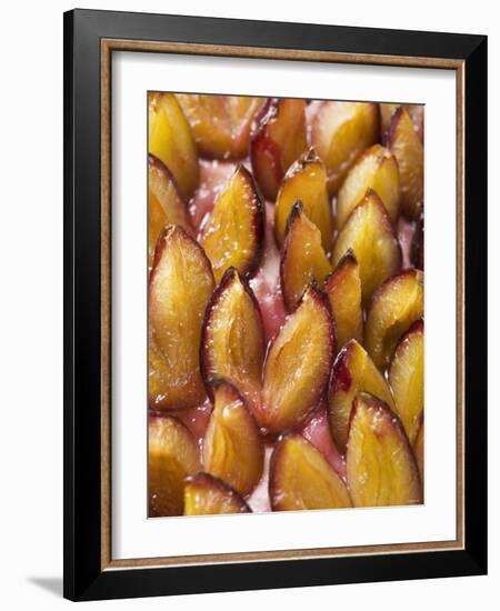 Damson Cake (Zwetschgendatschi)-null-Framed Photographic Print