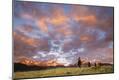Premium Photographic Print