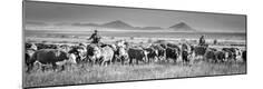 Photographic Print