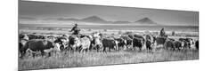 Photographic Print