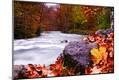 Photographic Print