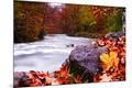 Photographic Print