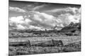 Photographic Print