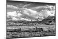 Photographic Print