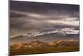 Photographic Print