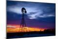 Photographic Print