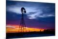 Photographic Print
