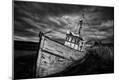 Photographic Print