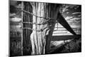 Photographic Print