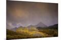 Photographic Print