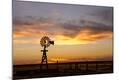 Premium Photographic Print