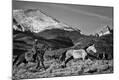 Photographic Print