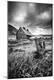 Photographic Print