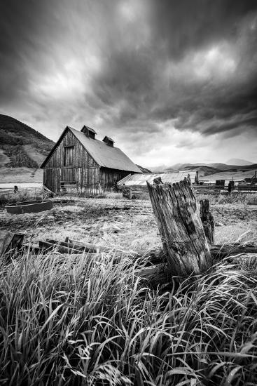 Photographic Print, , large