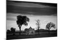 Photographic Print