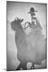 Photographic Print