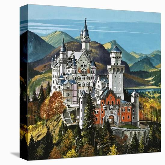 Stretched Canvas Print, , large