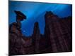 Photographic Print