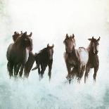 Horses Running Through The Surf-Dan Meneely-Art Print