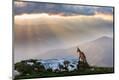 Photographic Print
