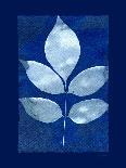 Cyanotype Birch-Dan Zamudio-Art Print