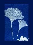 Cyanotype Fern-Dan Zamudio-Art Print