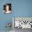 Dana Delany-null-Photo displayed on a wall