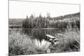 Photographic Print