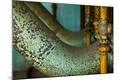 Premium Photographic Print