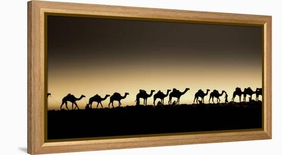 Danakil Depression Ethiopia-Art Wolfe-Framed Premier Image Canvas