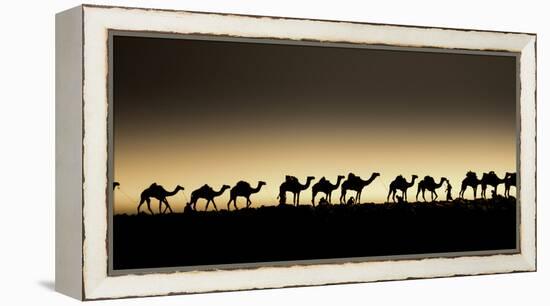 Danakil Depression Ethiopia-Art Wolfe-Framed Premier Image Canvas