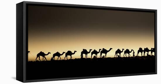 Danakil Depression Ethiopia-Art Wolfe-Framed Premier Image Canvas