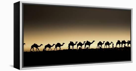 Danakil Depression Ethiopia-Art Wolfe-Framed Premier Image Canvas