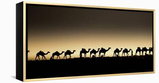 Danakil Depression Ethiopia-Art Wolfe-Framed Premier Image Canvas