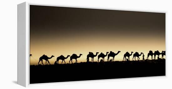 Danakil Depression Ethiopia-Art Wolfe-Framed Premier Image Canvas