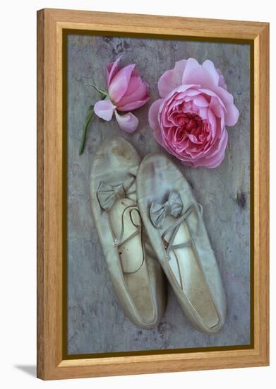 Dance for Me-Den Reader-Framed Premier Image Canvas