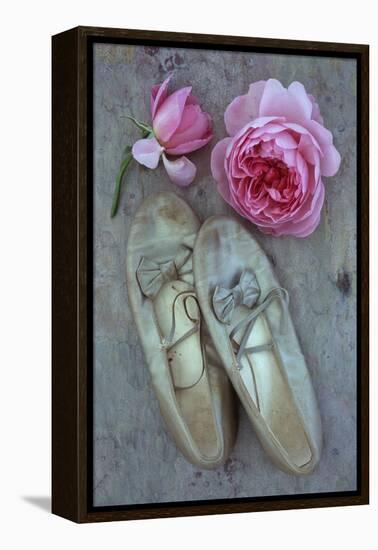 Dance for Me-Den Reader-Framed Premier Image Canvas