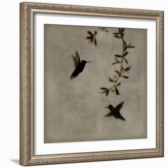 Dance in Flight I-Chris Donovan-Framed Art Print