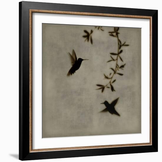 Dance in Flight I-Chris Donovan-Framed Art Print