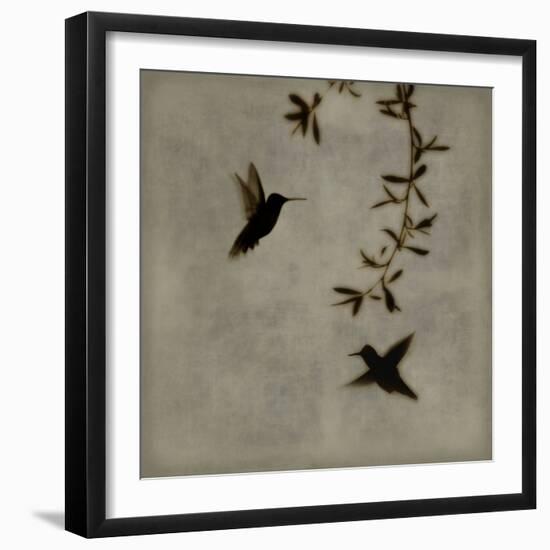 Dance in Flight I-Chris Donovan-Framed Art Print