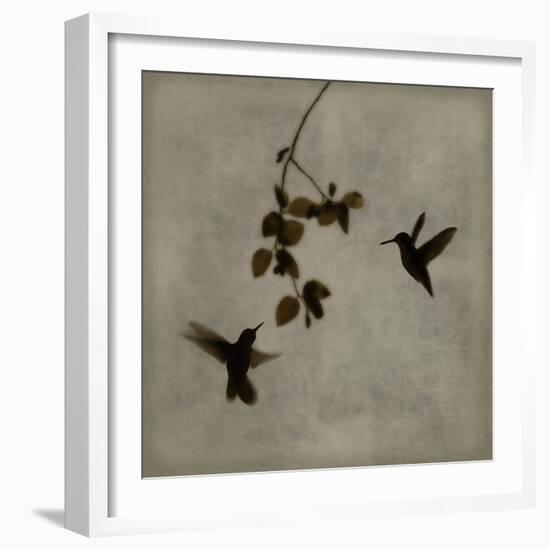 Dance in Flight II-Chris Donovan-Framed Art Print