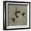 Dance in Flight II-Chris Donovan-Framed Art Print