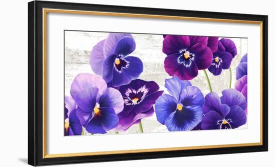 Dance of Pansies-Jenny Thomlinson-Framed Art Print