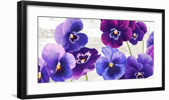 Dance of Pansies-Jenny Thomlinson-Framed Art Print