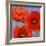 Dance of Poppies II-Luca Villa-Framed Art Print