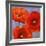 Dance of Poppies II-Luca Villa-Framed Art Print